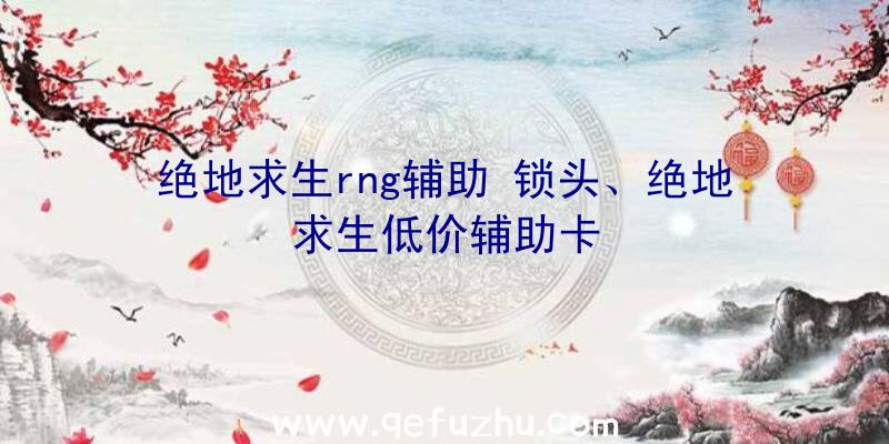 绝地求生rng辅助