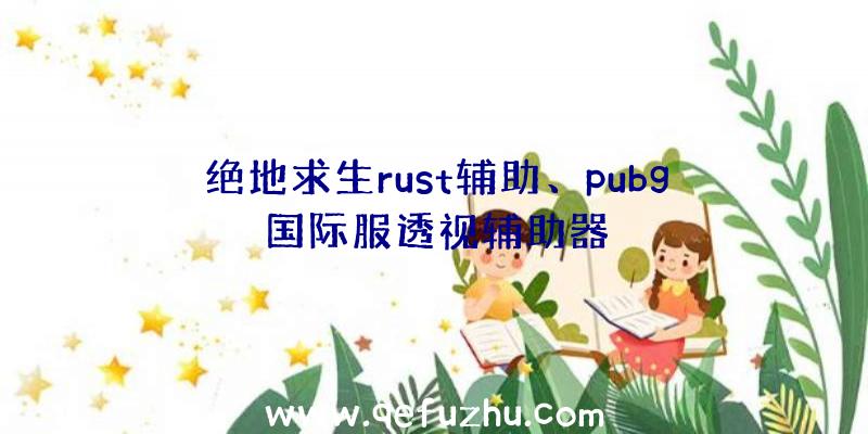 绝地求生rust辅助、pubg国际服透视辅助器