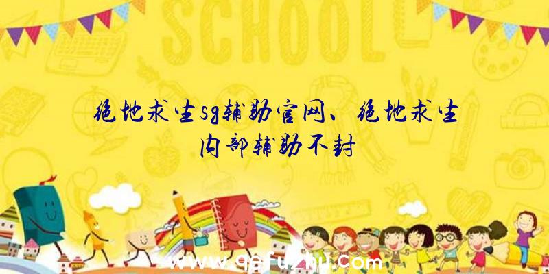 绝地求生sg辅助官网、绝地求生内部辅助不封