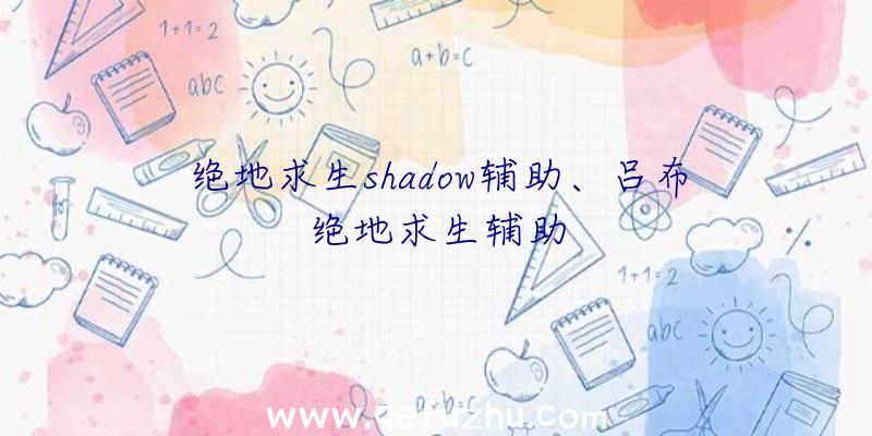 绝地求生shadow辅助、吕布绝地求生辅助