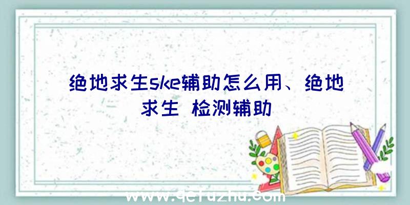 绝地求生ske辅助怎么用、绝地求生