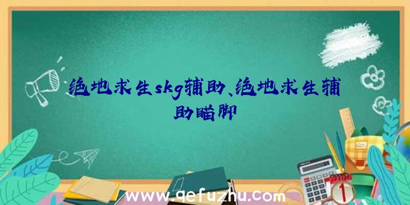 绝地求生skg辅助、绝地求生辅助瞄脚