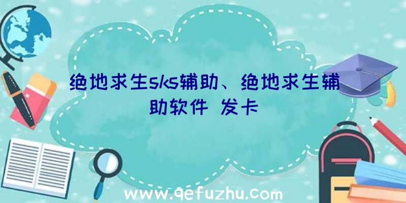 绝地求生sks辅助、绝地求生辅助软件