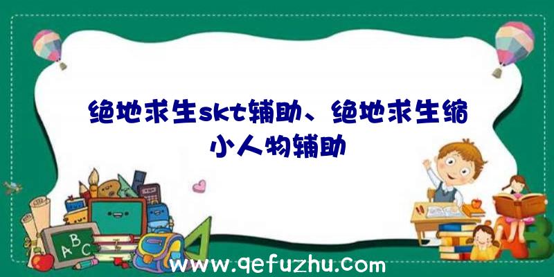 绝地求生skt辅助、绝地求生缩小人物辅助