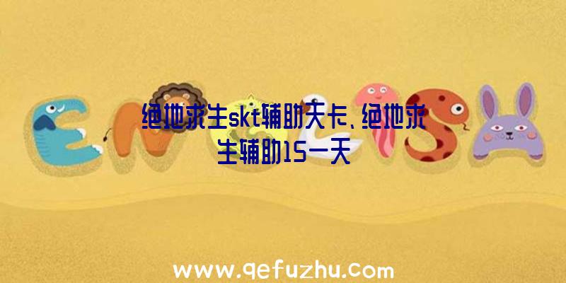 绝地求生skt辅助天卡、绝地求生辅助15一天