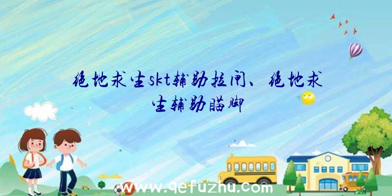 绝地求生skt辅助拉闸、绝地求生辅助瞄脚