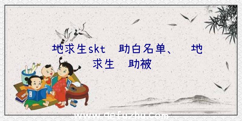 绝地求生skt辅助白名单、绝地求生辅助被骗