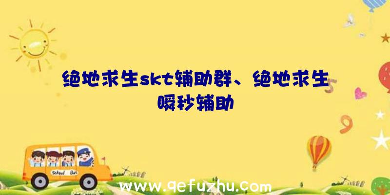 绝地求生skt辅助群、绝地求生瞬秒辅助