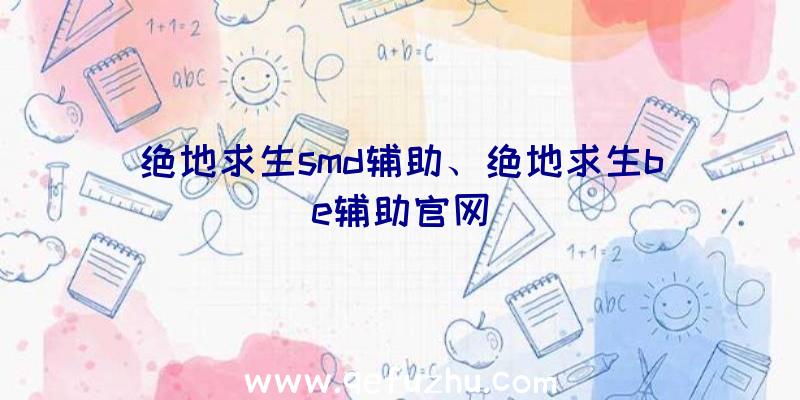 绝地求生smd辅助、绝地求生be辅助官网