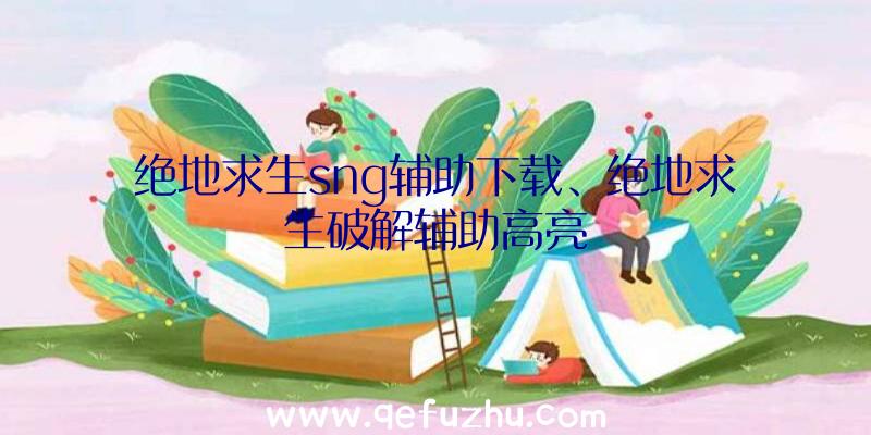 绝地求生sng辅助下载、绝地求生破解辅助高亮