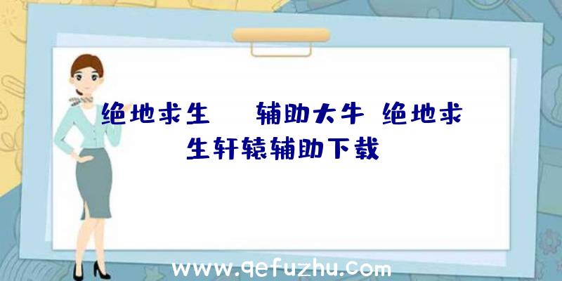 绝地求生sng辅助大牛、绝地求生轩辕辅助下载