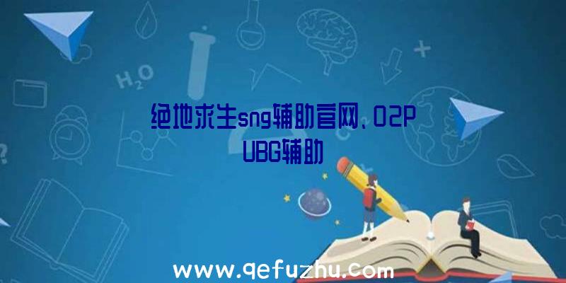 绝地求生sng辅助官网、02PUBG辅助