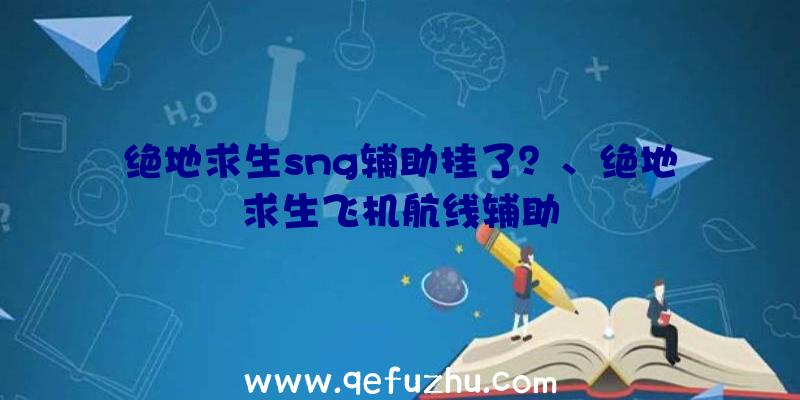 绝地求生sng辅助挂了？、绝地求生飞机航线辅助