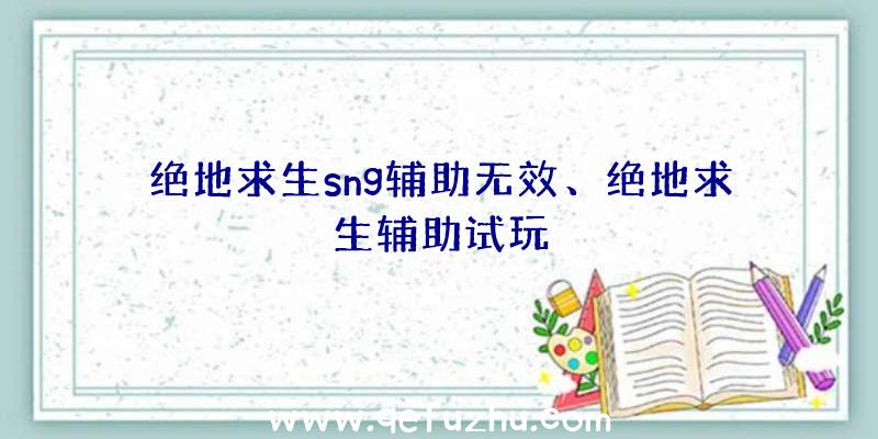 绝地求生sng辅助无效、绝地求生辅助试玩