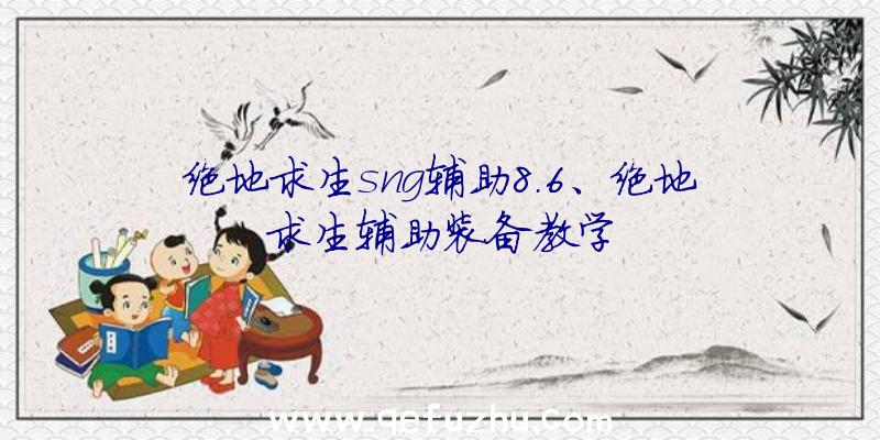 绝地求生sng辅助8.6、绝地求生辅助装备教学