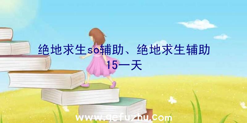 绝地求生so辅助、绝地求生辅助15一天