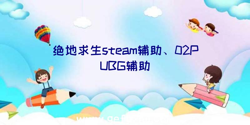 绝地求生steam辅助、02PUBG辅助