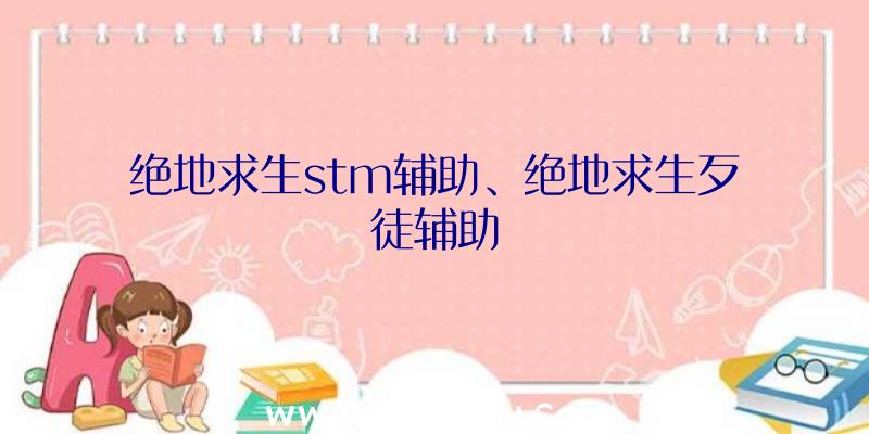 绝地求生stm辅助、绝地求生歹徒辅助