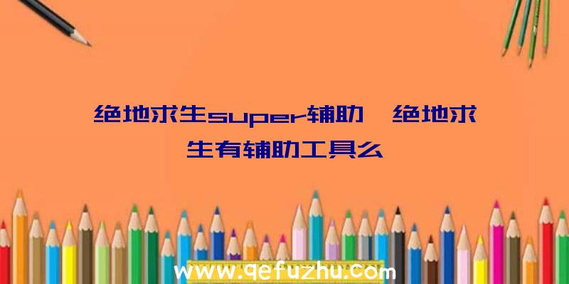 绝地求生super辅助、绝地求生有辅助工具么