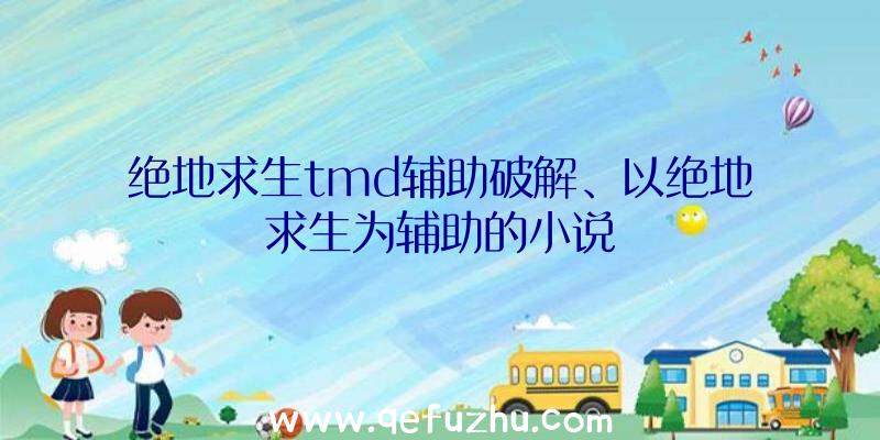 绝地求生tmd辅助破解、以绝地求生为辅助的小说