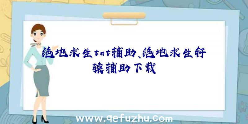 绝地求生tnt辅助、绝地求生轩辕辅助下载