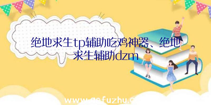 绝地求生tp辅助吃鸡神器、绝地求生辅助dzm