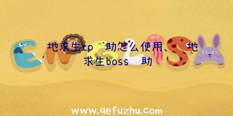 绝地求生tp辅助怎么使用、绝地求生boss辅助