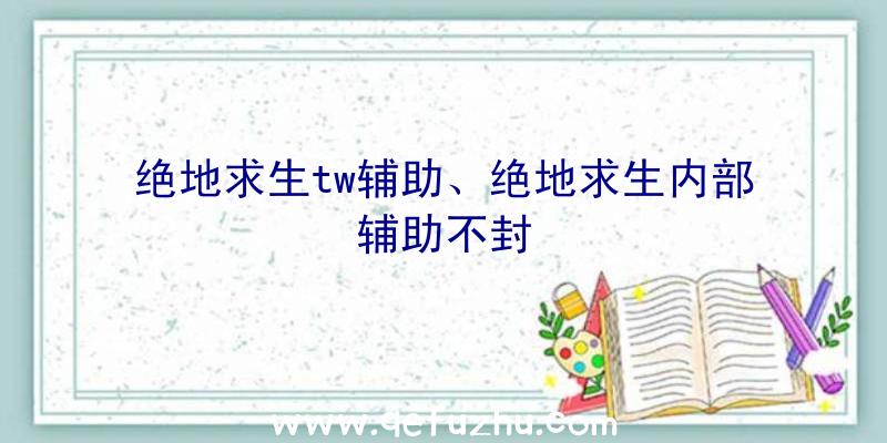 绝地求生tw辅助、绝地求生内部辅助不封