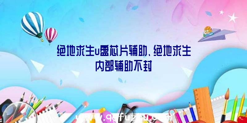 绝地求生u盘芯片辅助、绝地求生内部辅助不封