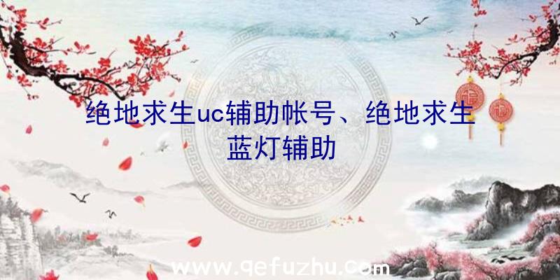 绝地求生uc辅助帐号、绝地求生蓝灯辅助