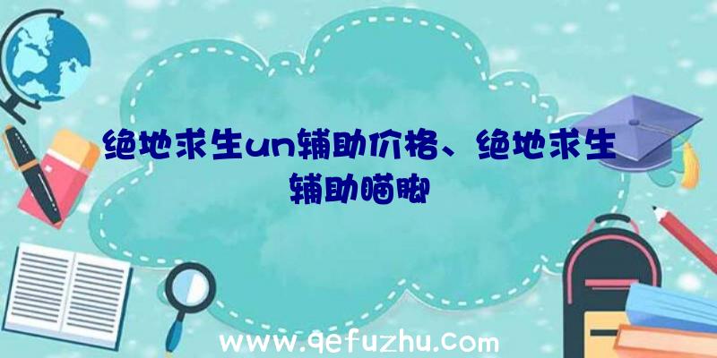 绝地求生un辅助价格、绝地求生辅助瞄脚