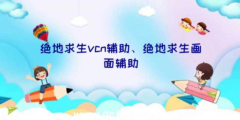 绝地求生vcn辅助、绝地求生画面辅助