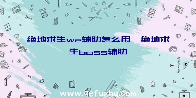 绝地求生we辅助怎么用、绝地求生boss辅助