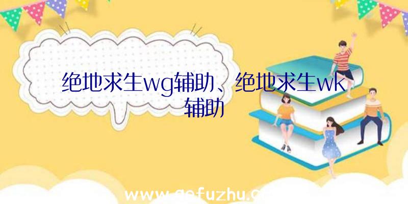 绝地求生wg辅助、绝地求生wk辅助