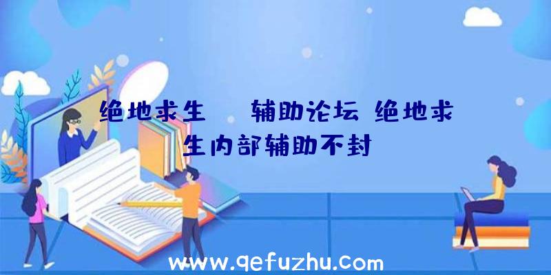 绝地求生wgt辅助论坛、绝地求生内部辅助不封