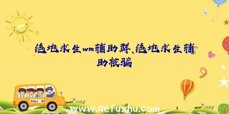 绝地求生wm辅助群、绝地求生辅助被骗