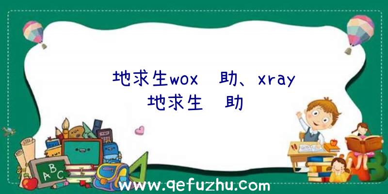 绝地求生wox辅助、xray绝地求生辅助