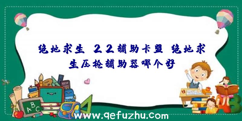 绝地求生x22辅助卡盟、绝地求生压枪辅助器哪个好