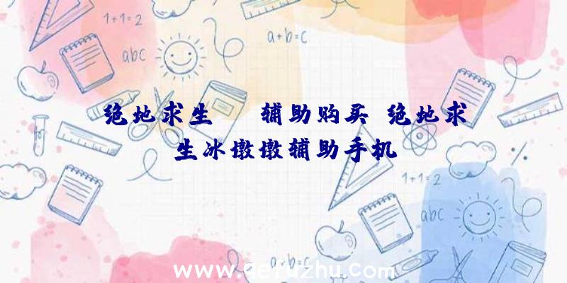 绝地求生xbs辅助购买、绝地求生冰墩墩辅助手机