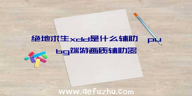 绝地求生xdd是什么辅助、pubg端游画质辅助器