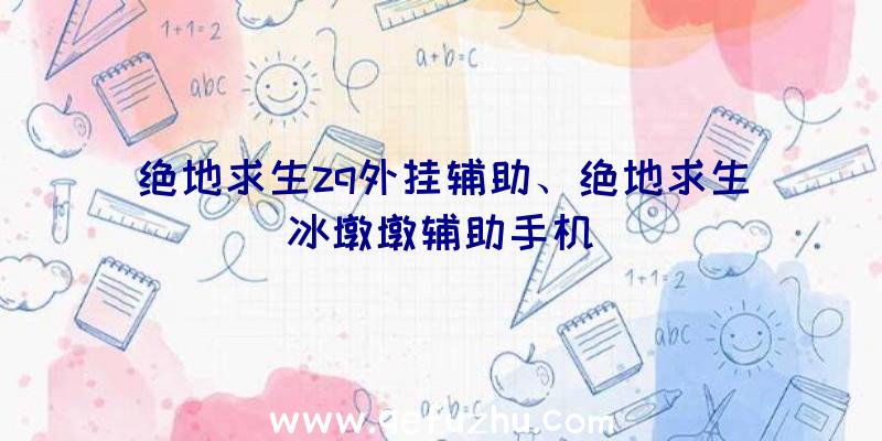 绝地求生zq外挂辅助、绝地求生冰墩墩辅助手机