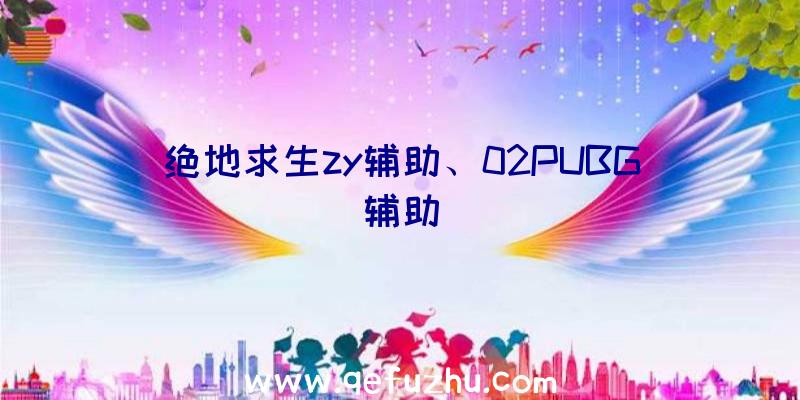 绝地求生zy辅助、02PUBG辅助