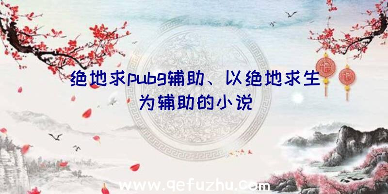 绝地求pubg辅助、以绝地求生为辅助的小说