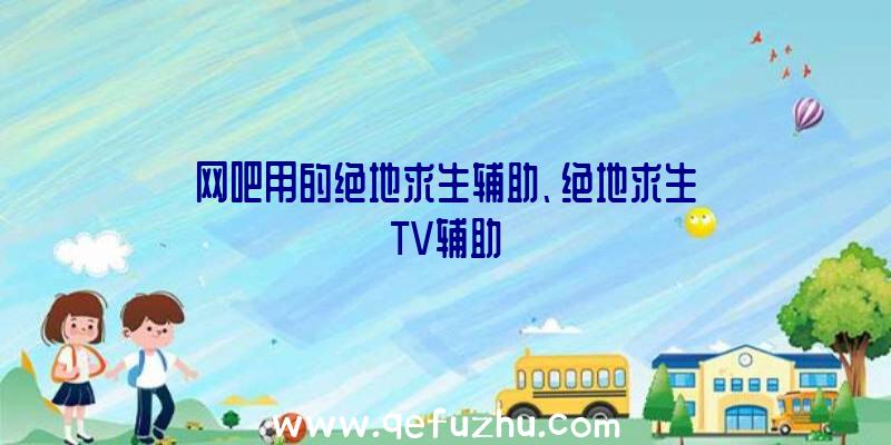 网吧用的绝地求生辅助、绝地求生TV辅助