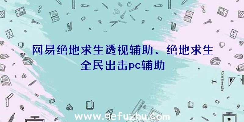 网易绝地求生透视辅助、绝地求生全民出击pc辅助