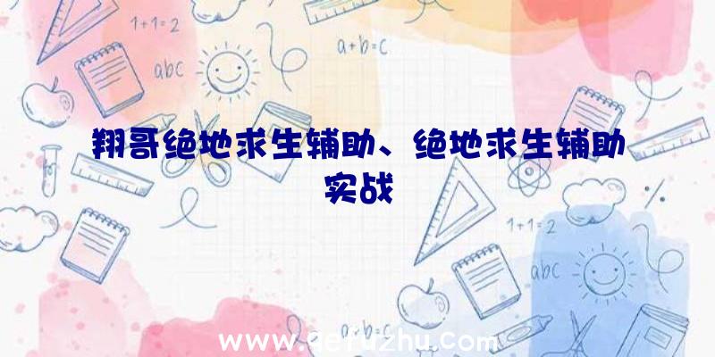 翔哥绝地求生辅助、绝地求生辅助实战