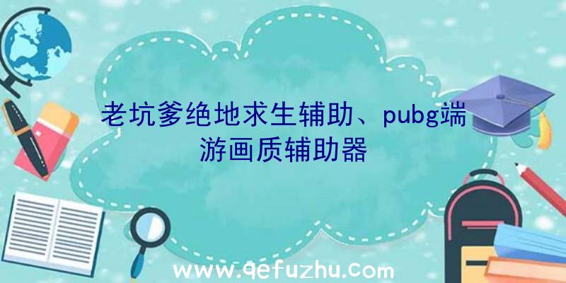 老坑爹绝地求生辅助、pubg端游画质辅助器