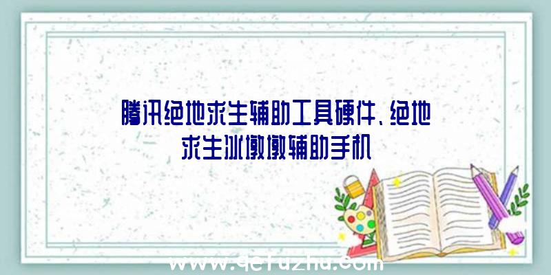 腾讯绝地求生辅助工具硬件、绝地求生冰墩墩辅助手机