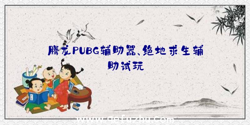 腾龙PUBG辅助器、绝地求生辅助试玩