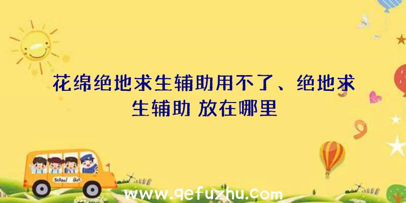 花绵绝地求生辅助用不了、绝地求生辅助